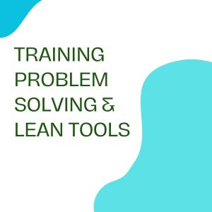 pelatihan Problem Solving & Lean Tools online