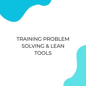 pelatihan PROBLEM SOLVING & LEAN TOOLS online