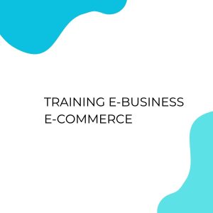 pelatihan E-BUSINESS E-COMMERCE di jakarta