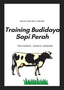 pelatihan Budidaya Sapi Perah online